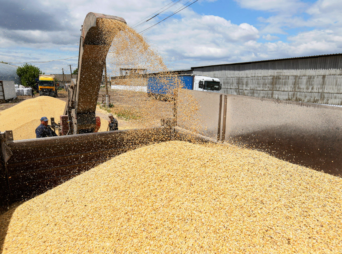 تراجع أسعار الحبوب العالمية يدعم استقرار أثمنة المواد الغذائية في المغرب