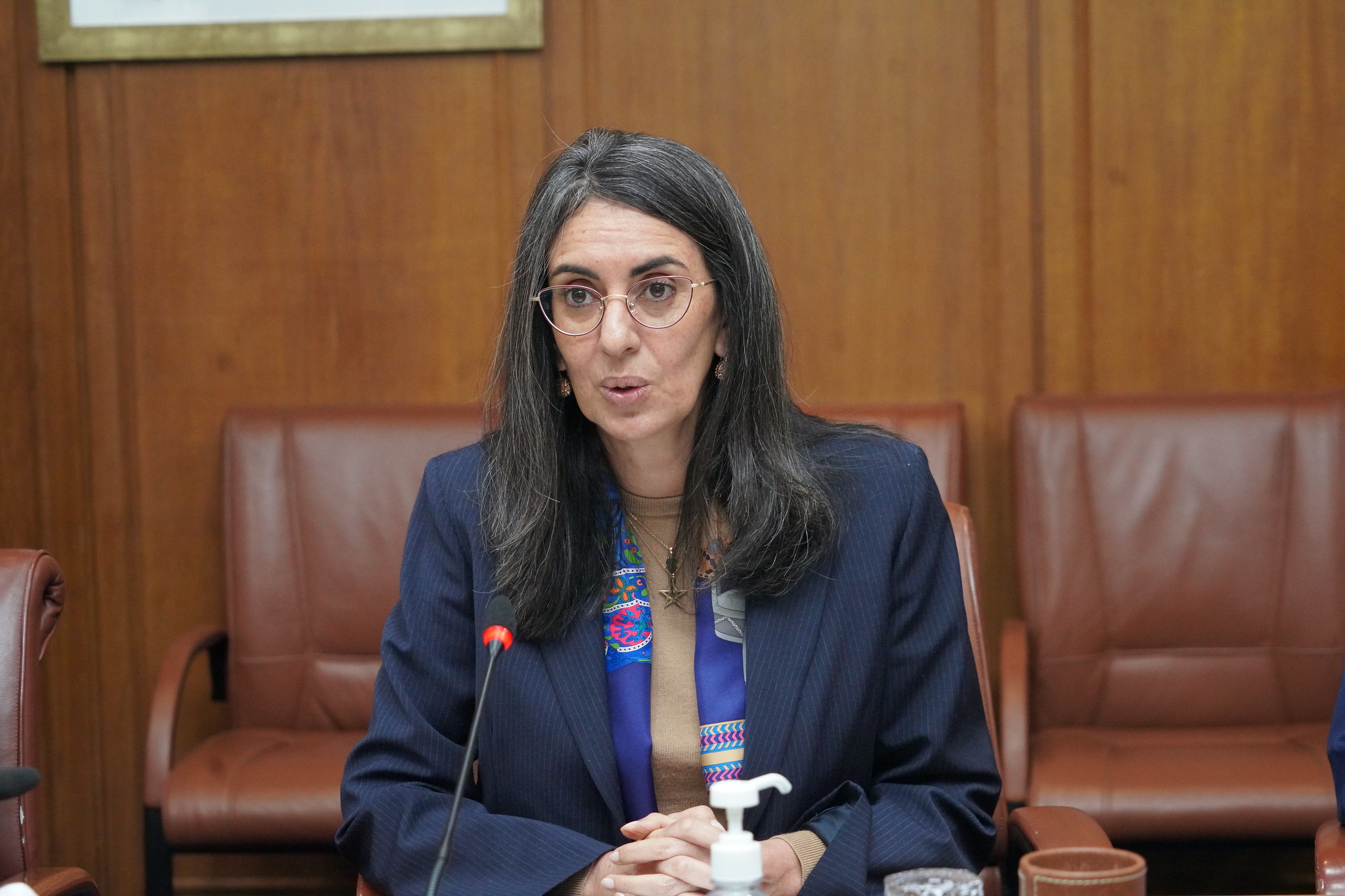 مجلس النواب - البرلمان المغربي