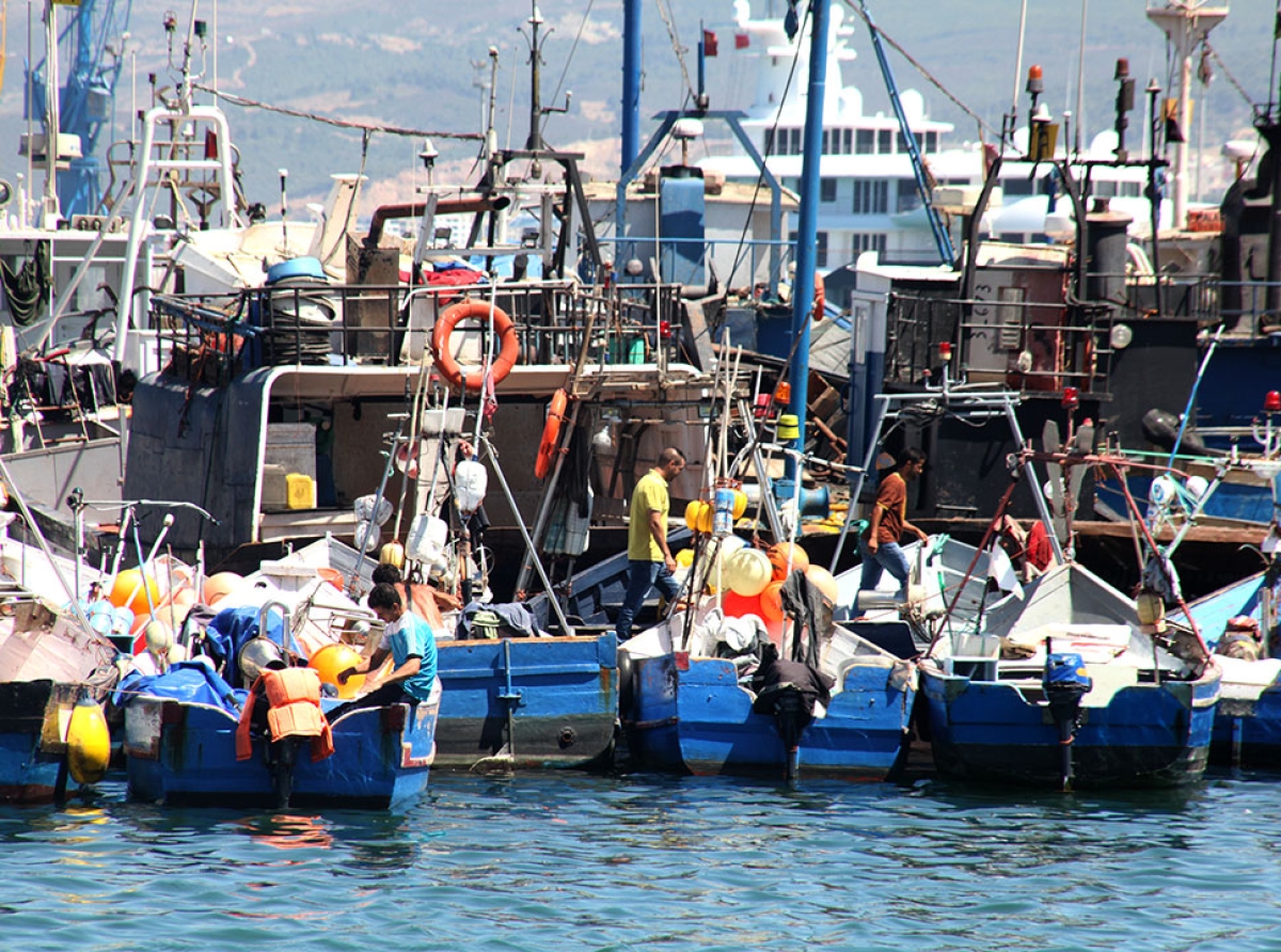 عصرنة قوارب الصيد التقليدي: مسار جديد لصيد أكثر استدامة