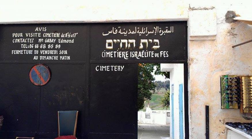 48225899246_53f5afebe1_o-2