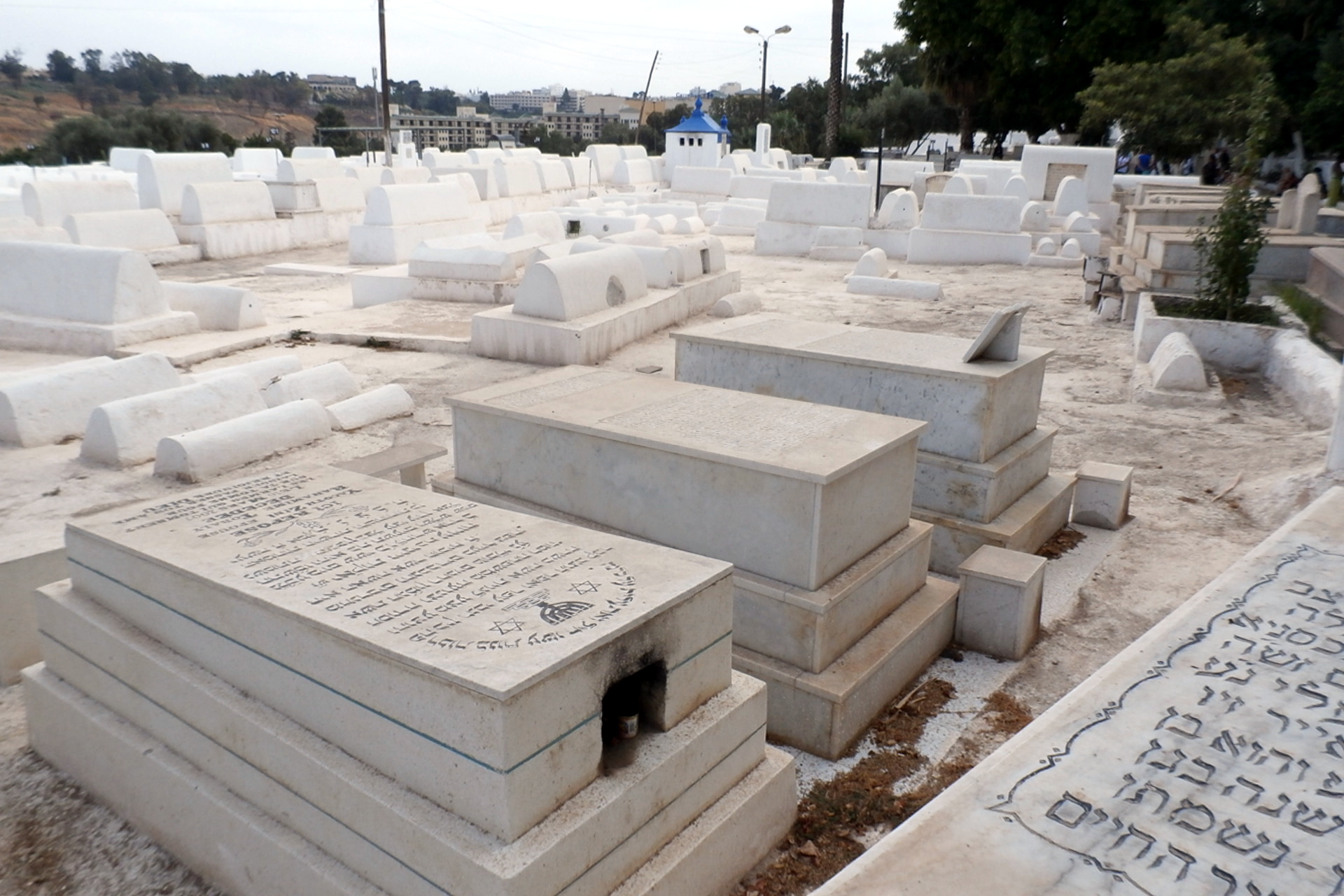 48225956852_6dabbbed18_o