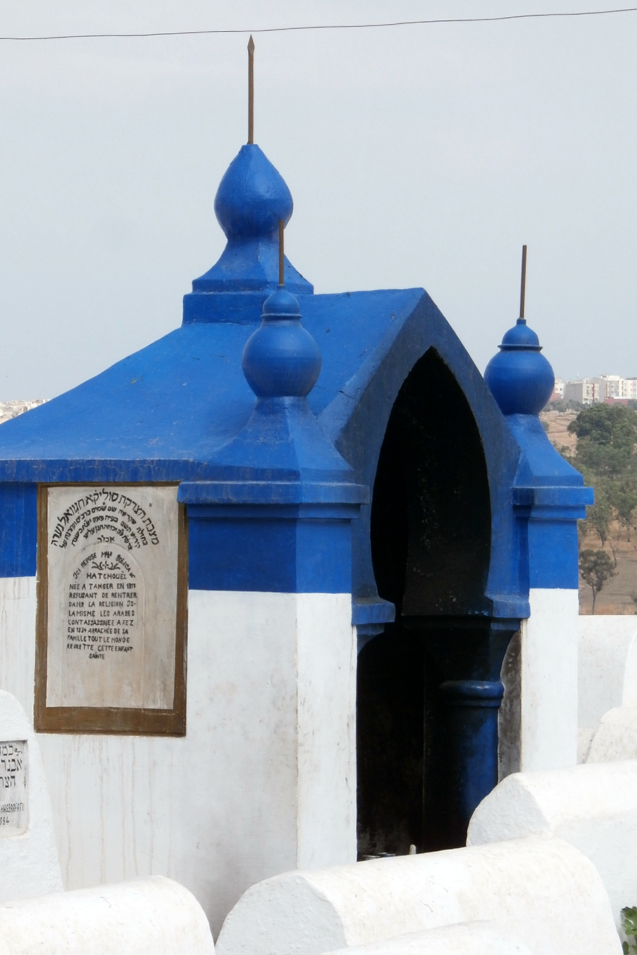 48225957532_b4218e0cac_o