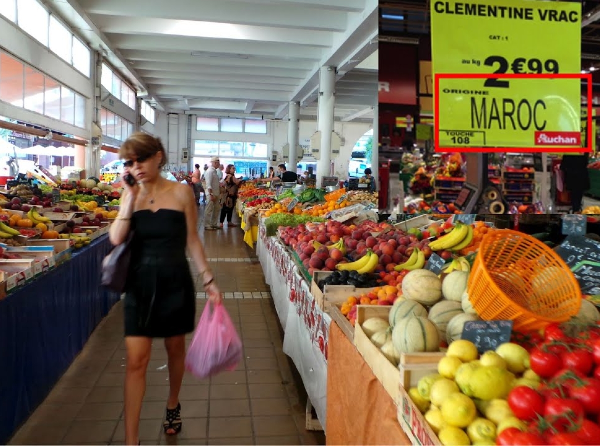 بزيادة قدرها 12٪ عن العام السابق.. صادرات الخضار الطازجة المغربية تواصل الريادة نحو الأسواق الأوروبية